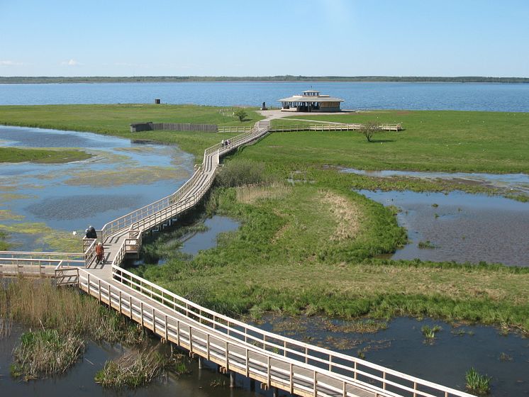 Fågeludden, Hornborgasjön