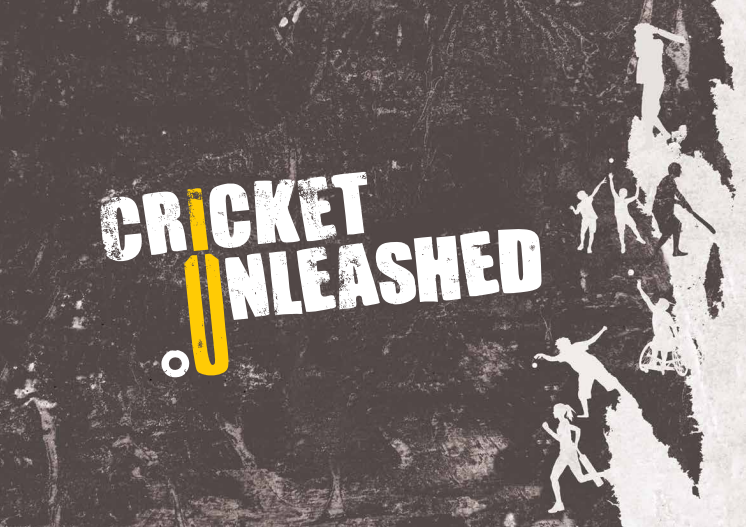 Cricket Unleashed - Detailed Plan