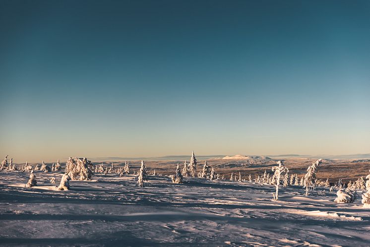 Sälen snö januari 2021