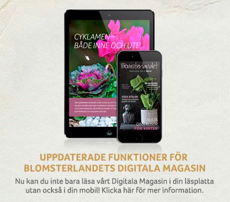 Blomsterlandets digitala magasin för läsplatta och telefon