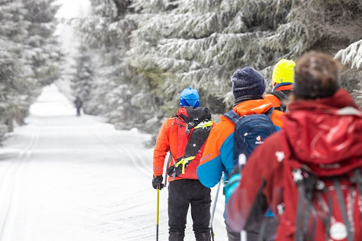 Stoneman Miriquidi Snow_Foto TVE_Ronny Kuettner_photoron.jpg