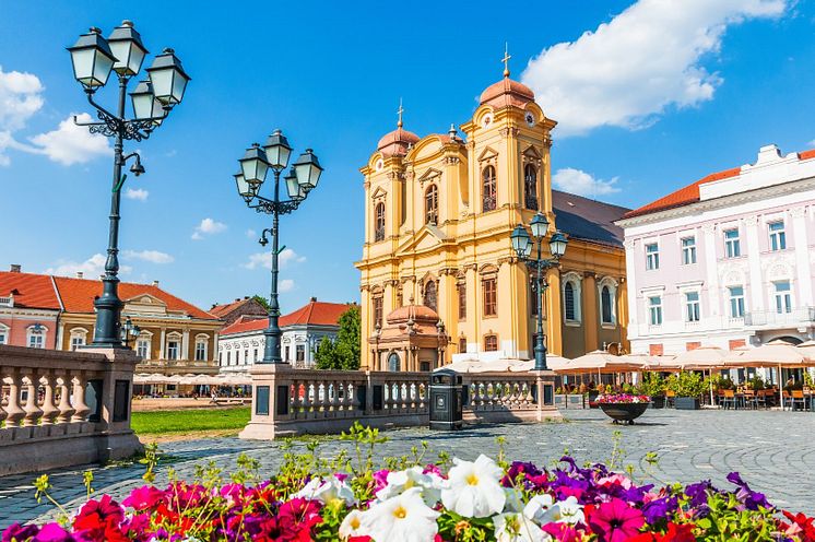 Romania ECC (2)