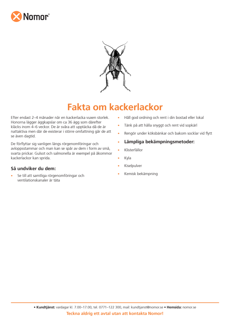 Fakta om kackerlackor