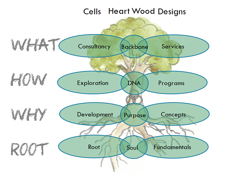 Emprogage Cells and Designs