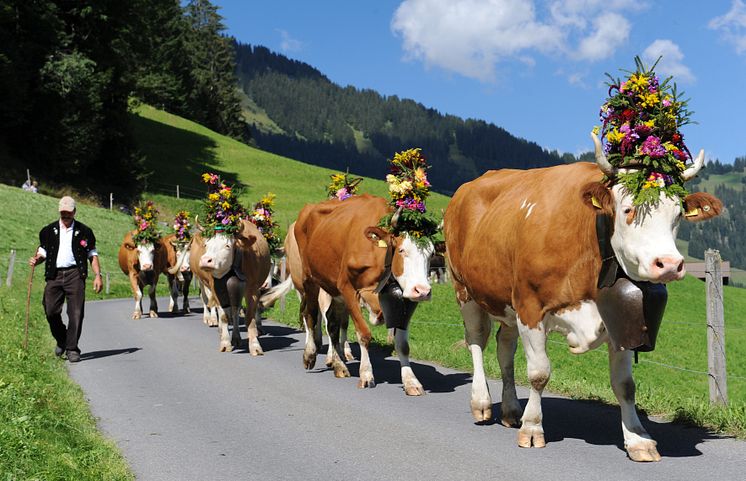 AlpKultur in Lenk-Simmental © Lenk Simmental Tourismus By-line swiss-image.ch Fotograf Res Mueller