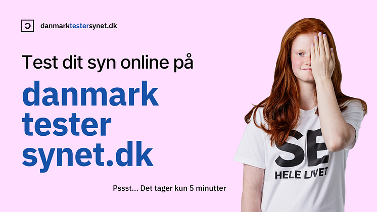 danmarktestersynet