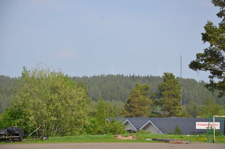 Utsikt över vindkraftparken på Tavelberget