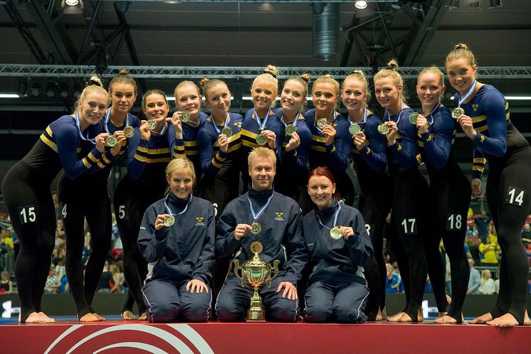 EM-landslaget i truppgymnastik som tog guld till Sverige 2014