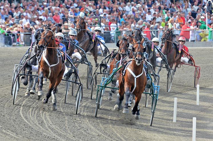 E3-finalen medeldistans H/V Sundbyholm 2013-07-19