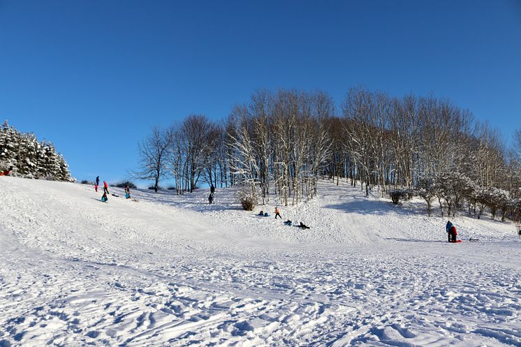 Pulka i discgolfparken