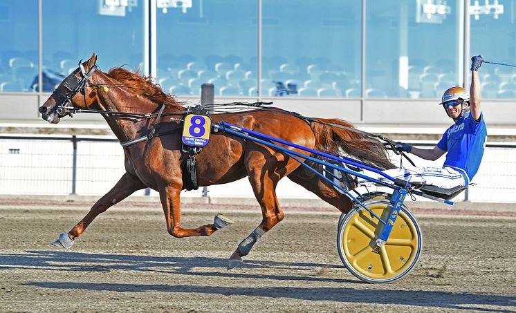 Moni Viking klar för Elitloppet 2021.