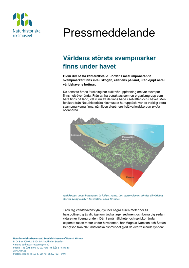 Största svampmarkerna finns under havet