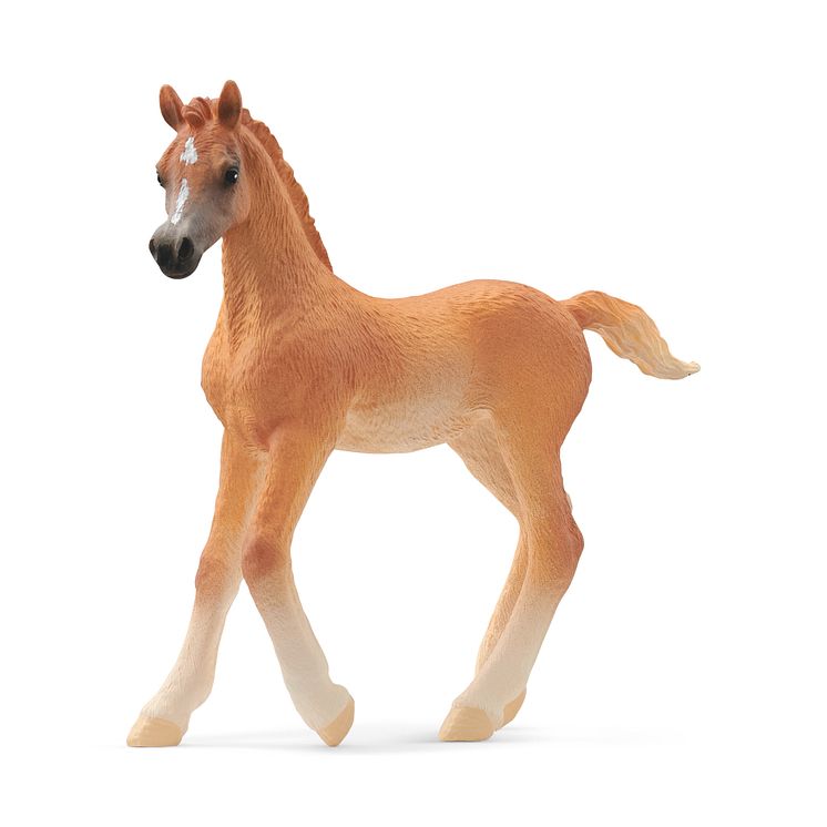 13984_Horse Club_Araber Fohlen (c)Schleich