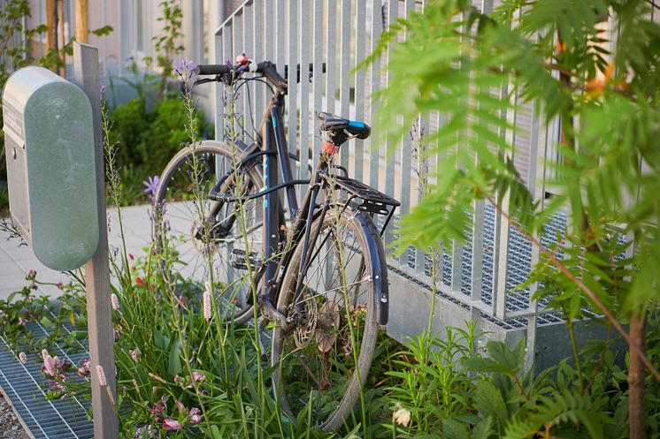 Plats för cykel och grönska, Det Goda Vattnet, Lund