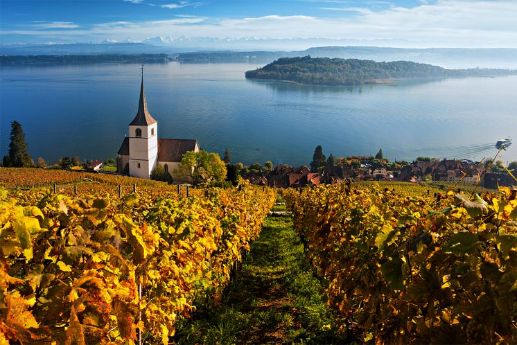 Blick auf Ligerz mit Ausflugsschiff auf dem Bielersee. Copyright: Switzerland Tourism By-Line: swiss-image.ch/Andreas Gerth 