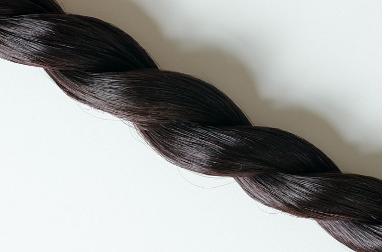 Plant-based hair.jpg