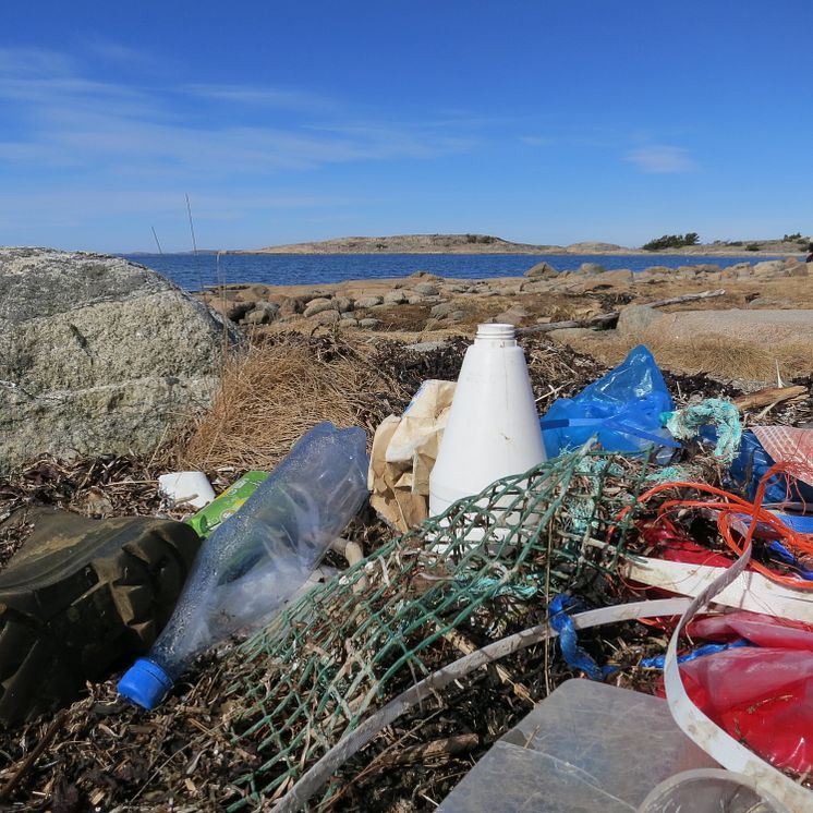 Plastskräp längs bohuskusten