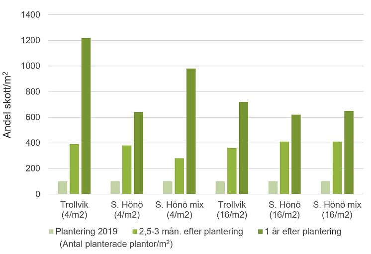 plantering statistik.jpg