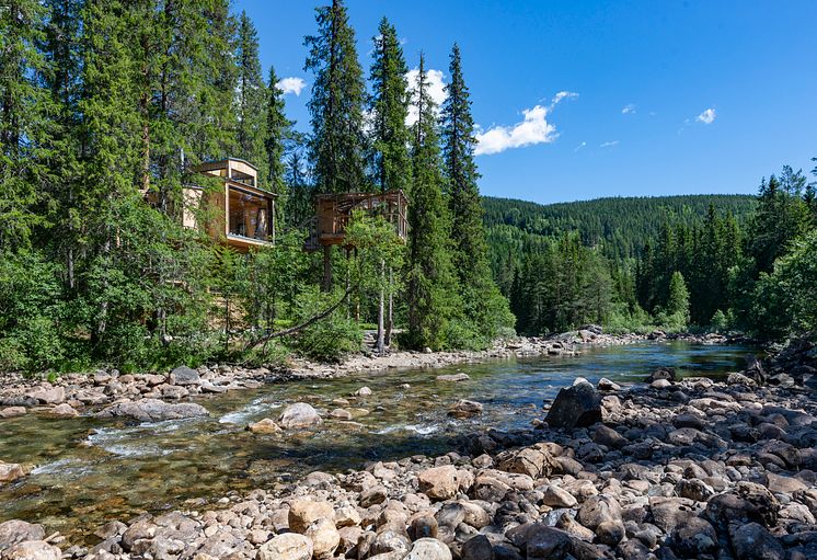 Å Auge Treetop House - Photo - AAcamp.com.jpg