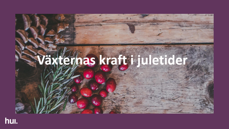 Växternas kraft i juletider - Sverige.pdf