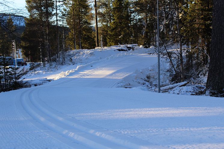 Lofsdalens konstsnöspår