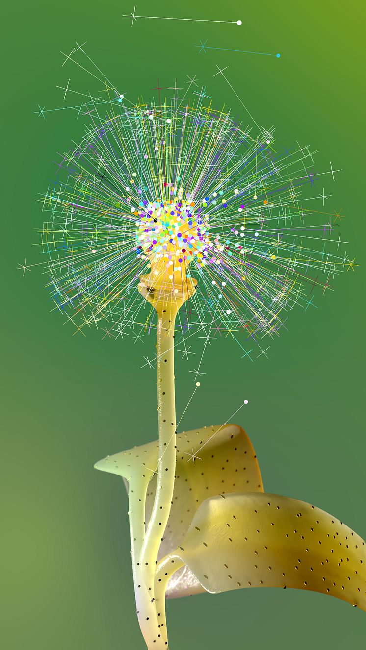 Stillbild från Synthetic Crops II, Dandelion, Wang & Söderström, 2023