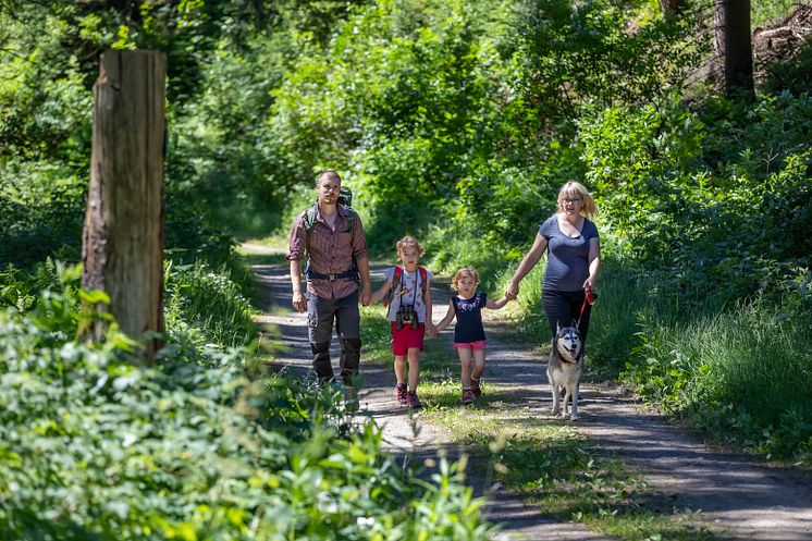 Wander_Wald_Familie_Geyer_19_Foto_TVE_Uwe Meinhold