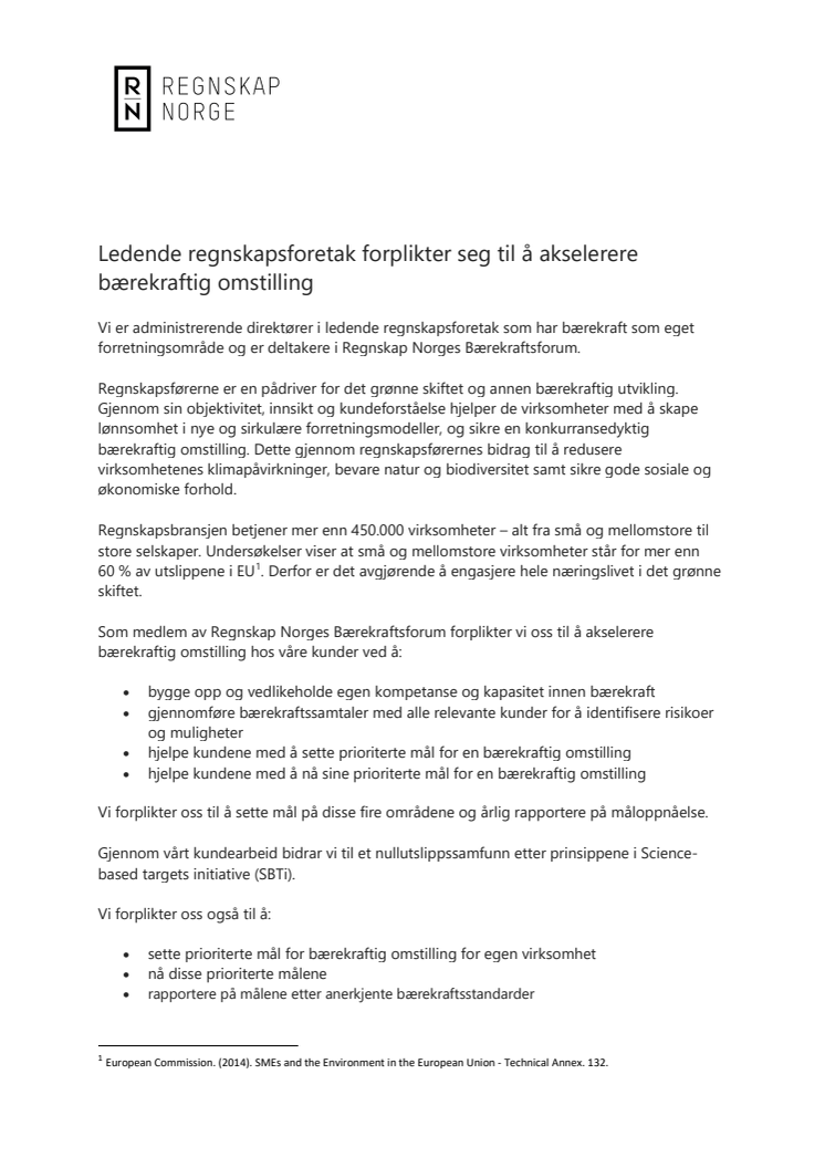 Regnskapsbransjens bærekraftsforpliktelse.pdf