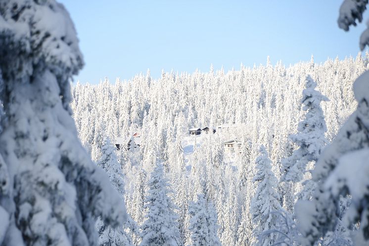 Januarikänsla i Sälen redan i november 2016