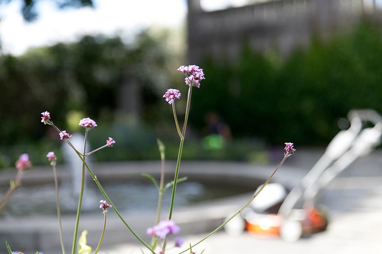 Lukt på blomstene i Vigelandsparken