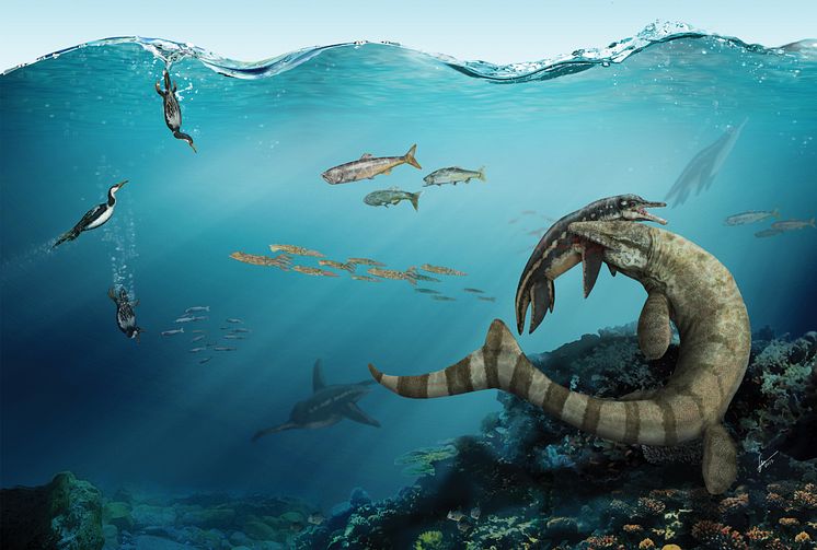 Geologins dag - Prognathodon fångar Plesiosarie