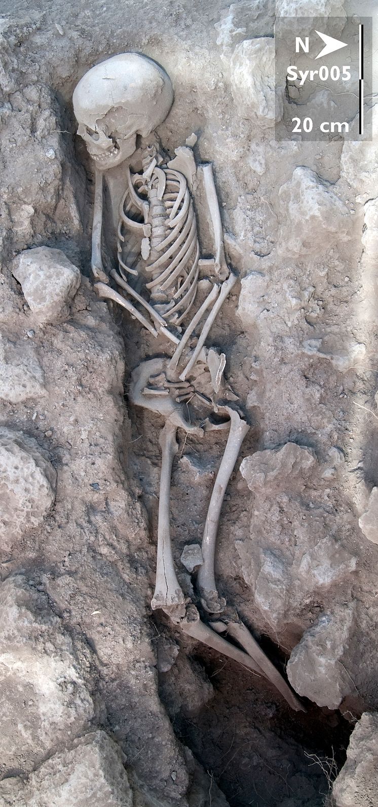 Early Islamic burial