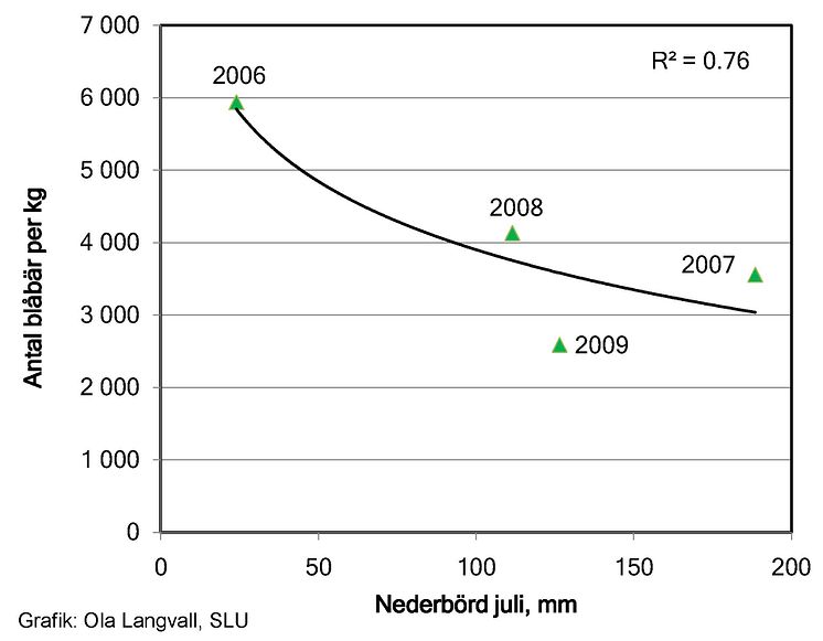 Blåbärsprognos: Förhållandet mellan nederbörden i juli månad och storleken på blåbären