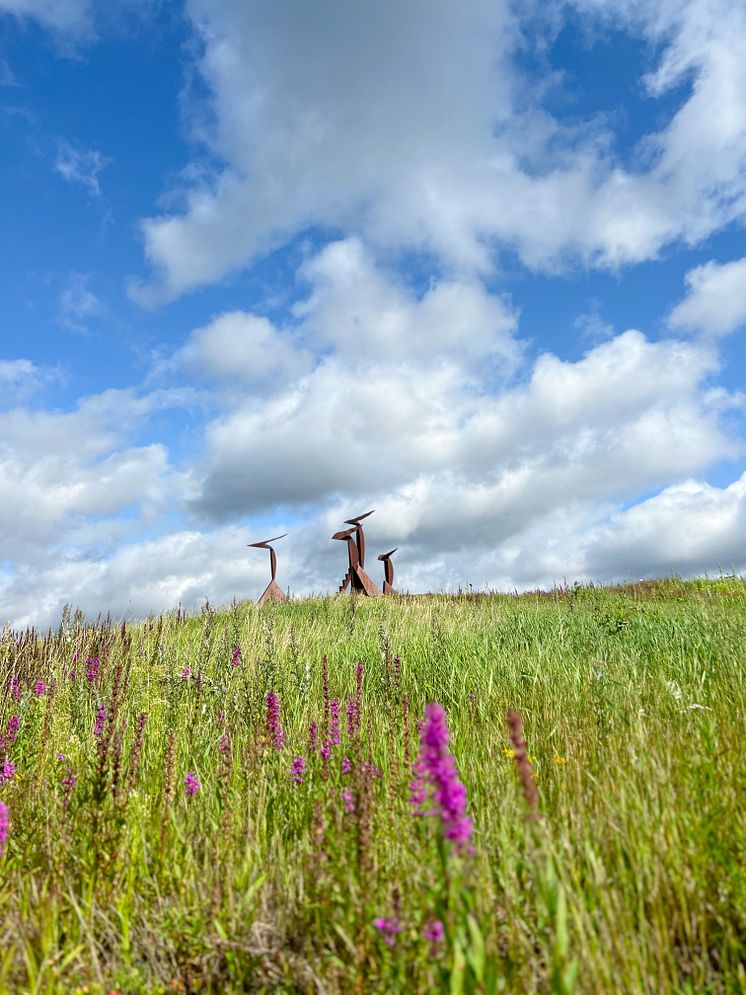 Konst på Hög Foto Hanne Marit Tobiassen .JPG