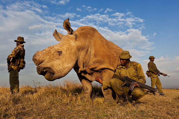 08_Brent Stirton