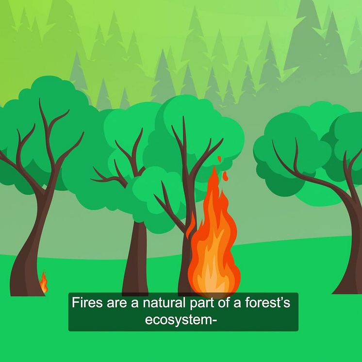 Animation 1:1 - AI against forest fires 2021