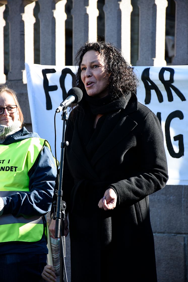 Forsvar kunstnerisk ytringsfrihet – solidaritet med kunstnerne