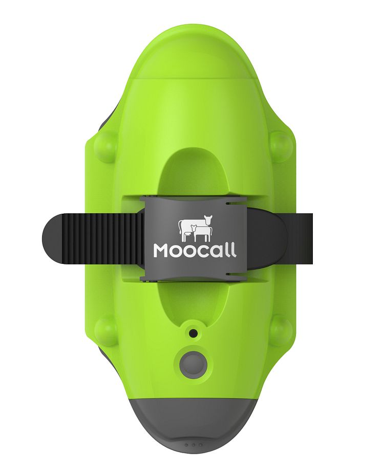  Moocall, Moocall Ltd