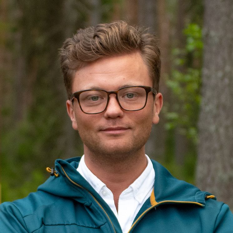 Georg Eriksson, Koncernchef Dille Bolagen AB