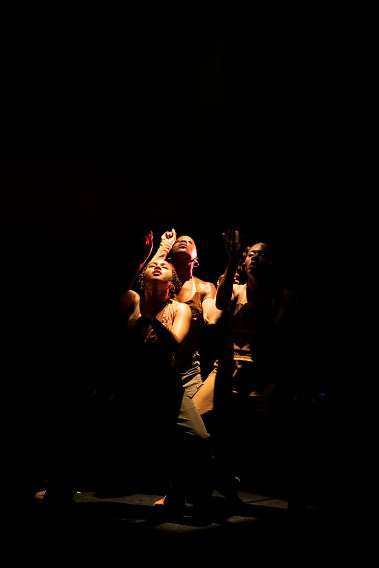 Company Nicolas Huchard - The barefoot diva