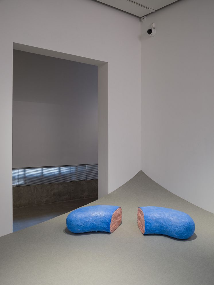 Iris Smeds, The Average, 2019, installationsvy Bonniers Konsthall 2019