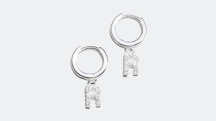 Earrings - 19.99 €