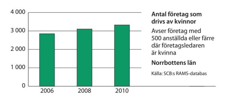 Norrbotten företag