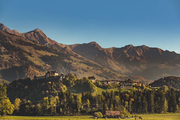 Fribourg/Gruyeres: Städtchen Gruyères mit Schloss 