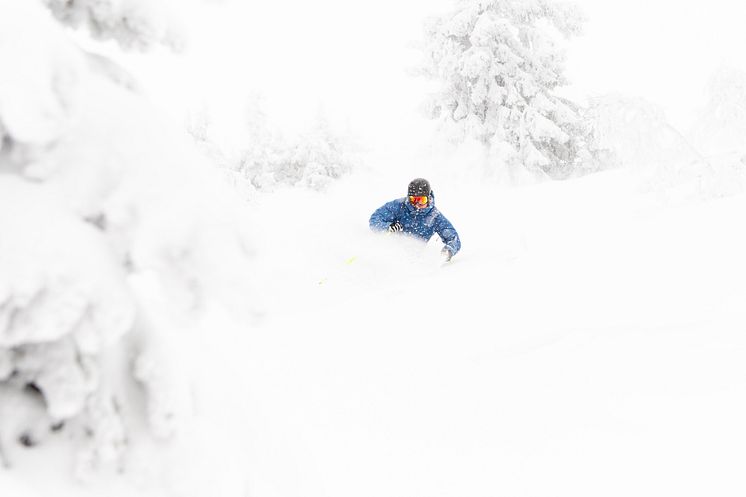 Puddersnø Trysil