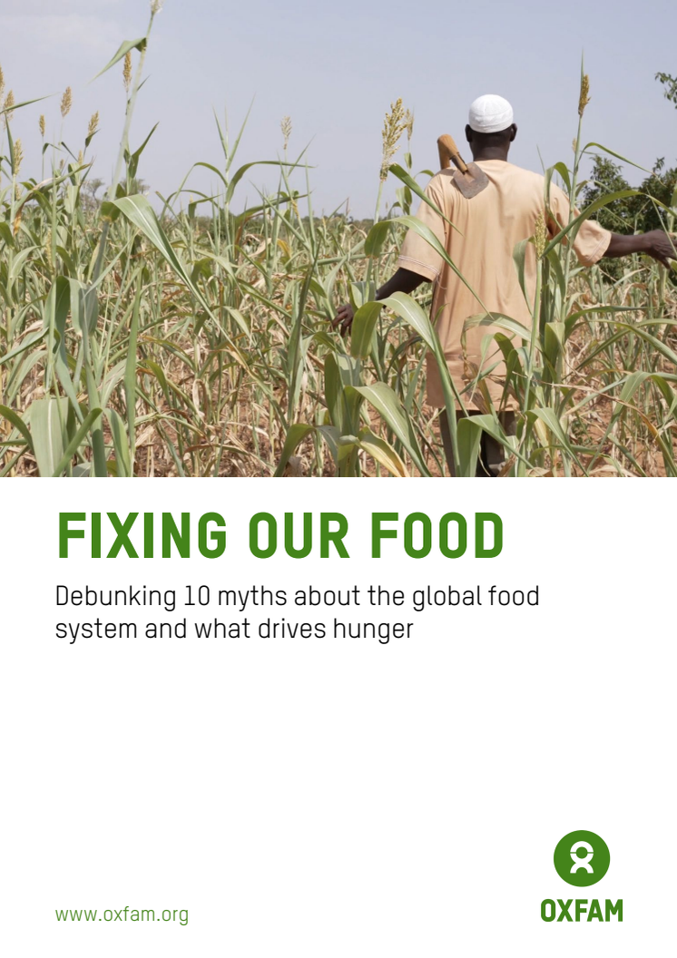 Oxfam - Fixing our Food briefing paper 2022.pdf