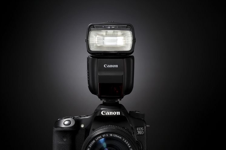 SPEEDLITE 430EX III EOS 70D 18-135 STM BEAUTY 03