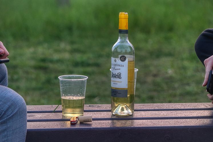 wine-g576e070a5_1920