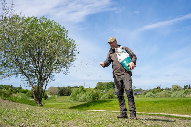 Biodiversitet på golfbanen_23.05 (16)