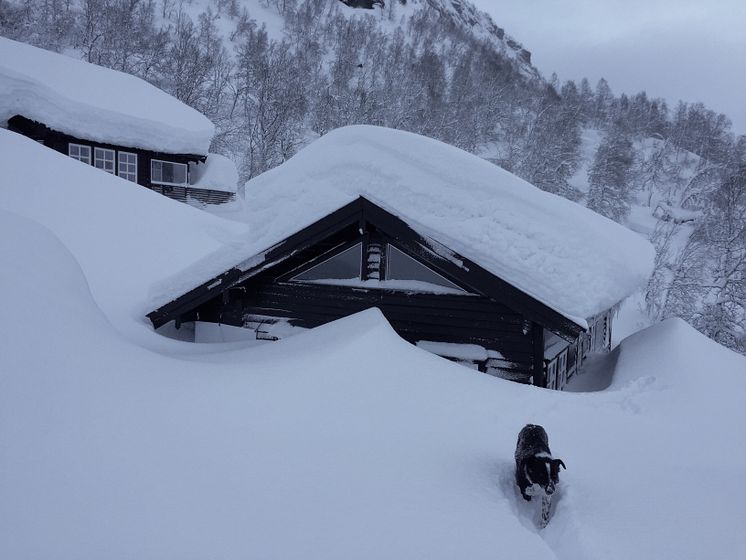 Mye snø på hyttetak